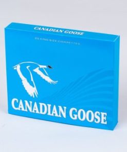 Canadian Goose Lights