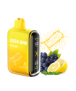 Geek Bar Pulse Disposable Vape